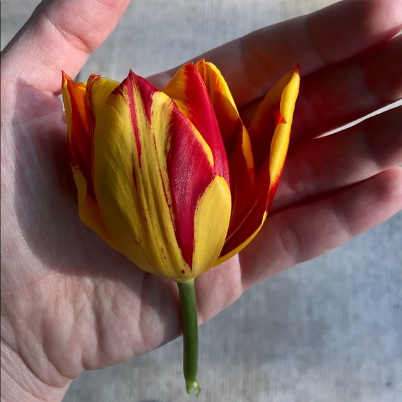 Open to bundles, offers, & swaps! - Picture 1 of 1